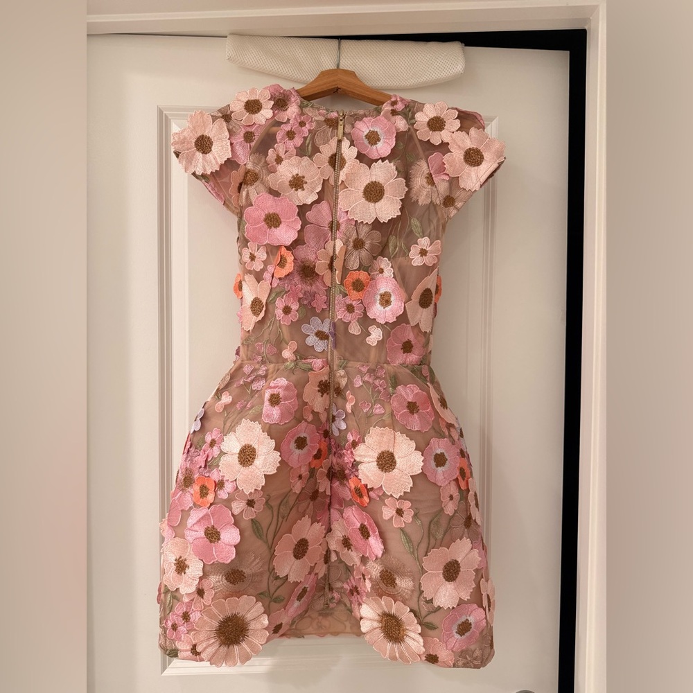 New Bronx and Banco Jasmine Embroidered Floral Applique Mini Dress - Picture 12 of 15